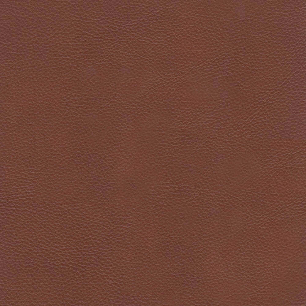 Mary MCM Genuine Leather Loveseat 60'