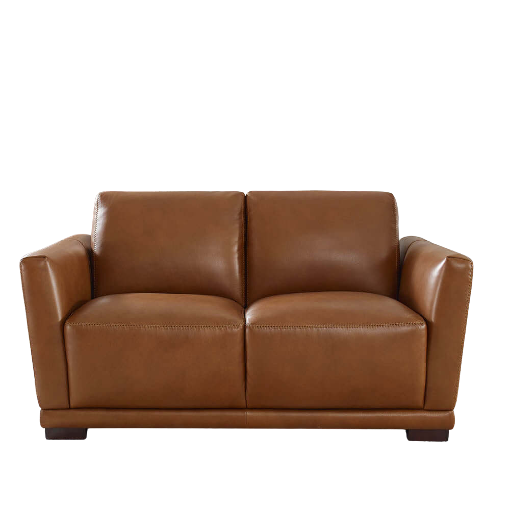 Mary MCM Genuine Leather Loveseat 60'