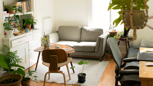 How to Style Your First Apartment Like a Pro