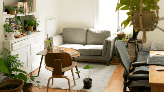 How to Style Your First Apartment Like a Pro