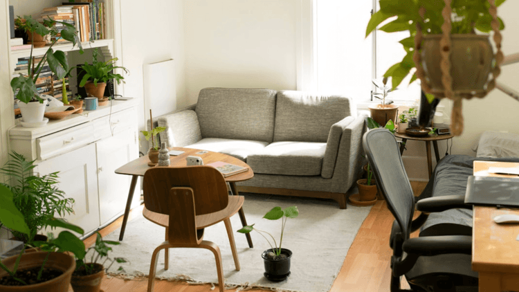 How to Style Your First Apartment Like a Pro
