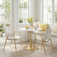 Desi Dining Chair (Set of 2) in White & Gold
