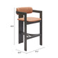 Shaili Brown Barstool