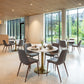 Magnus Dining Chair (Set of 2) in Slate Gray & Walnut