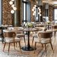 Brew Beige & Walnut Dining Chair