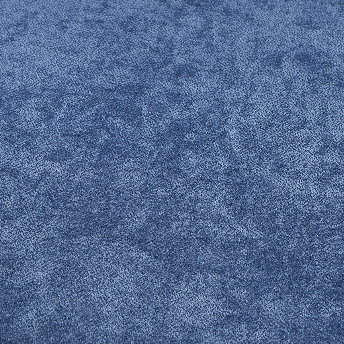 Bevis Blue