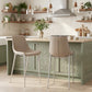 Magnus Counter Stool (Set of 2) in Brown & Silver