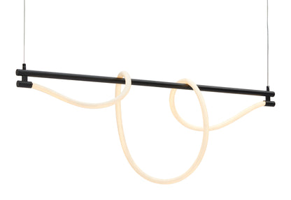 Adder Black Ceiling Lamp