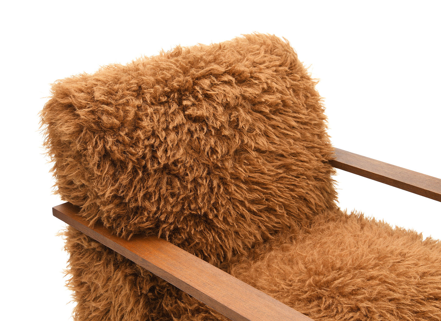 Auden Camel