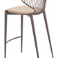 Silues Taupe & Brown Counter Stool (Set of 2)