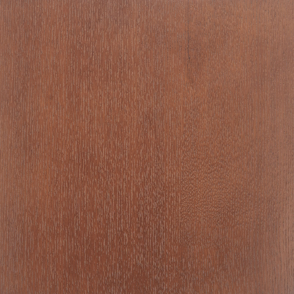 Kellua Dining Chair (Set of 2) in Beige & Walnut