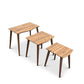 Ronald MCM Nesting End Wood Tables (Set Of 3)