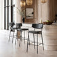 Charon Barstool (Set of 2) in Vintage Black