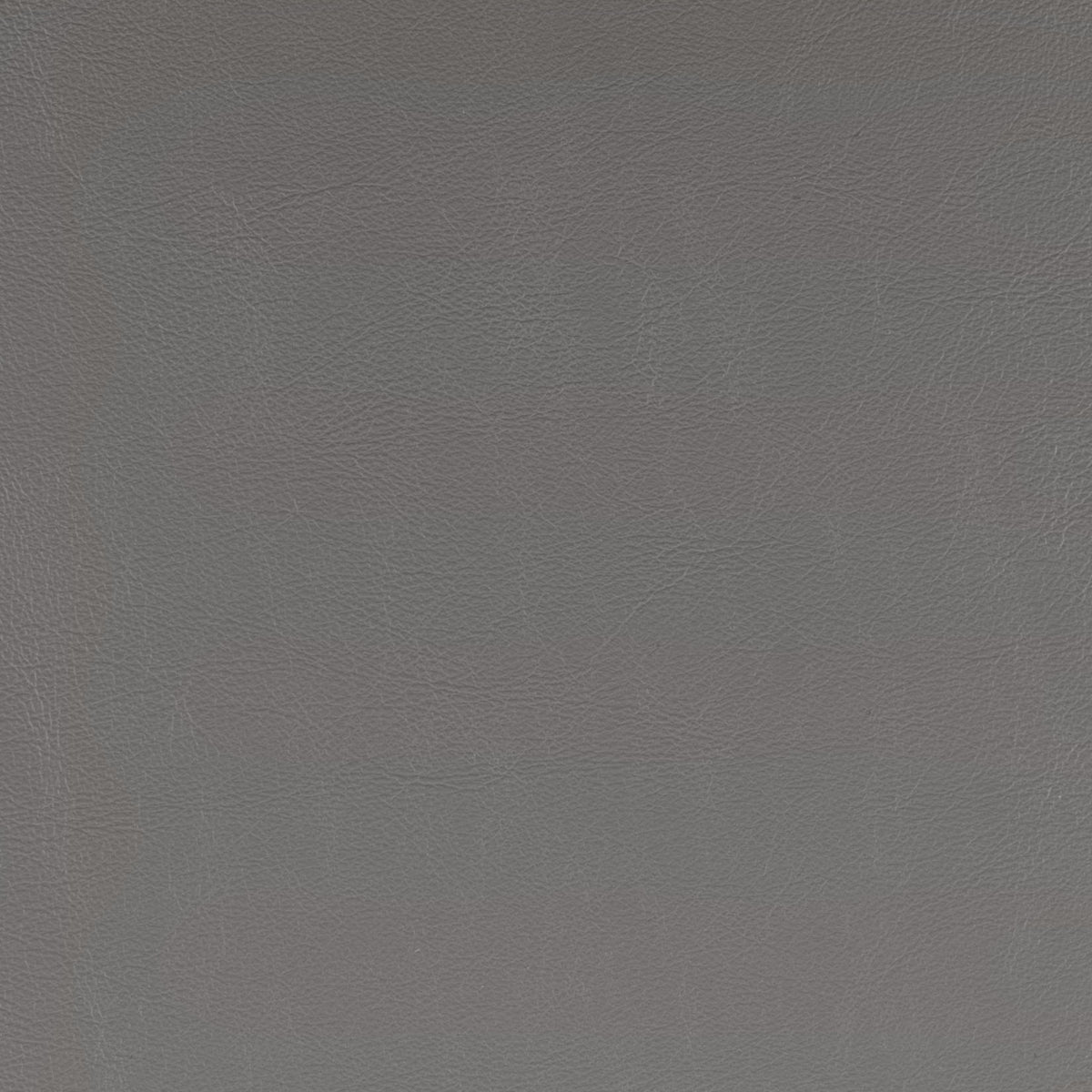 Lider Plus Armless Office Chair in Gray