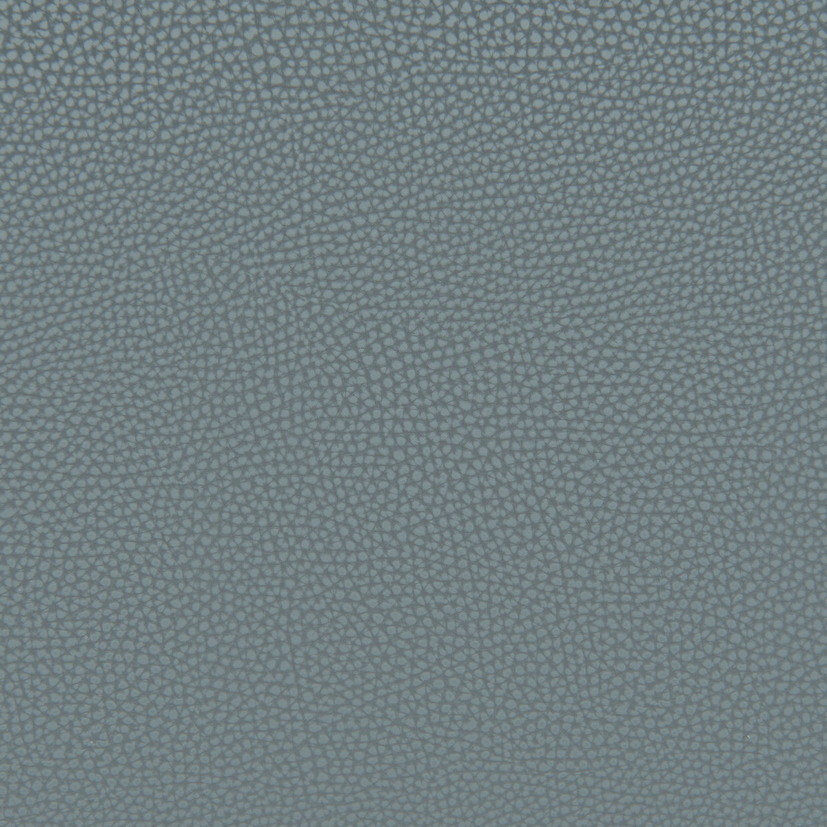 Desi Azure Gray Armless Dining Chair (Set of 2)