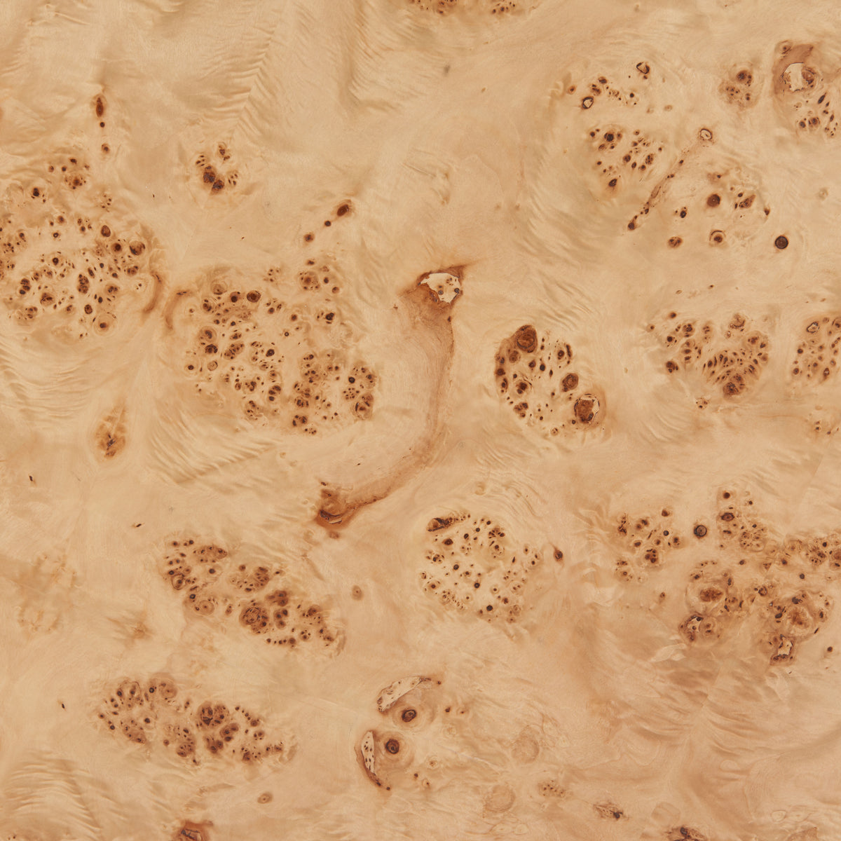 Burl Natural 2 in 1 Table