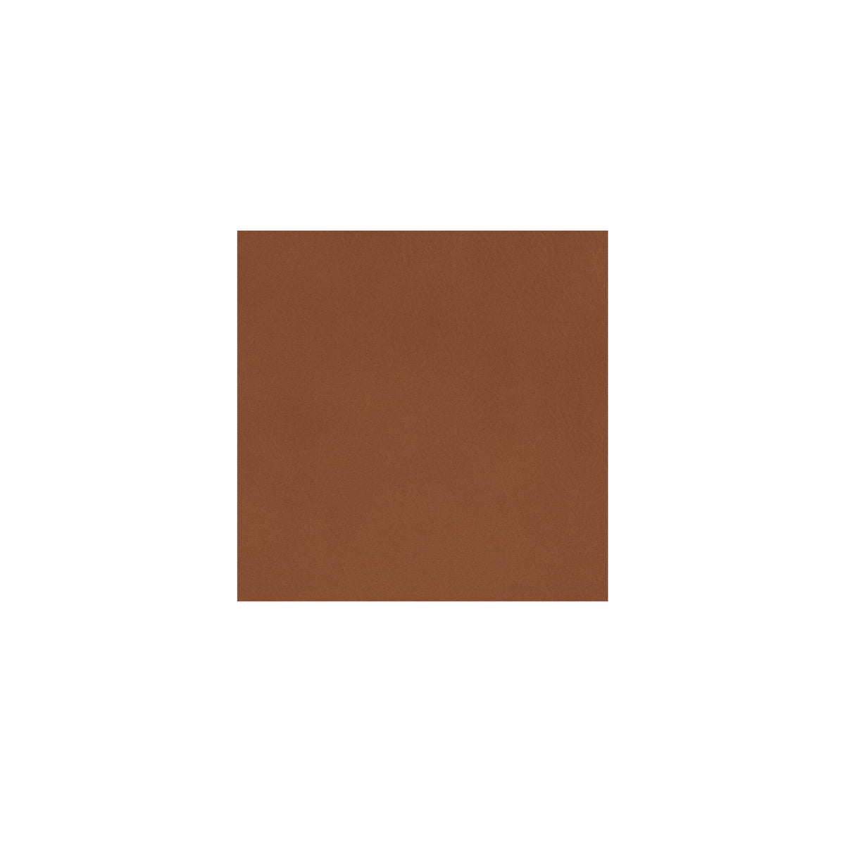 Baker Accent Chair – 29" Leather Accent Chair (9)