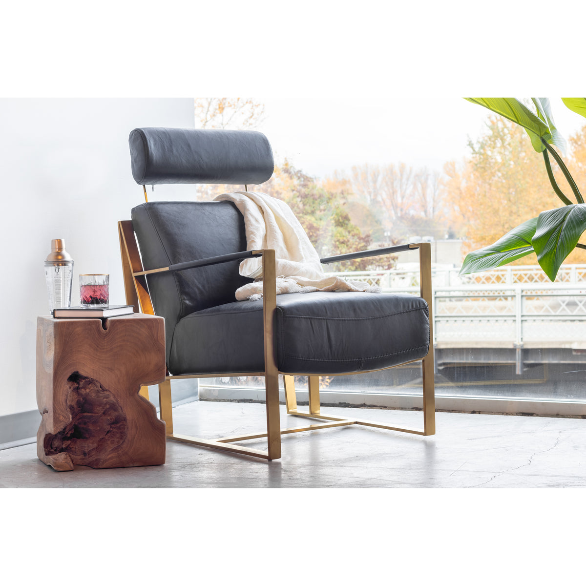 Paradiso Chair – 24.5" Leather Accent Chair (3)