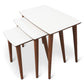 Ronald MCM Nesting End Wood Tables (Set Of 3)