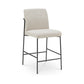 Danny Counter Stool – 18.7" Upholstered Counter Stool (2 Colors) (2)