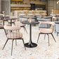 Saku Beige & Brown Swivel Dining Chair