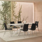 Ace Black & Silver Dining Chair (Set of 2)