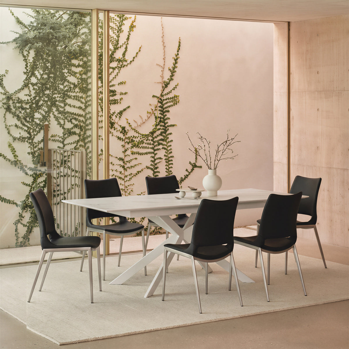 Ace Black & Silver Dining Chair (Set of 2)