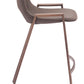Desi Counter Stool (Set of 2) in Brown & Walnut