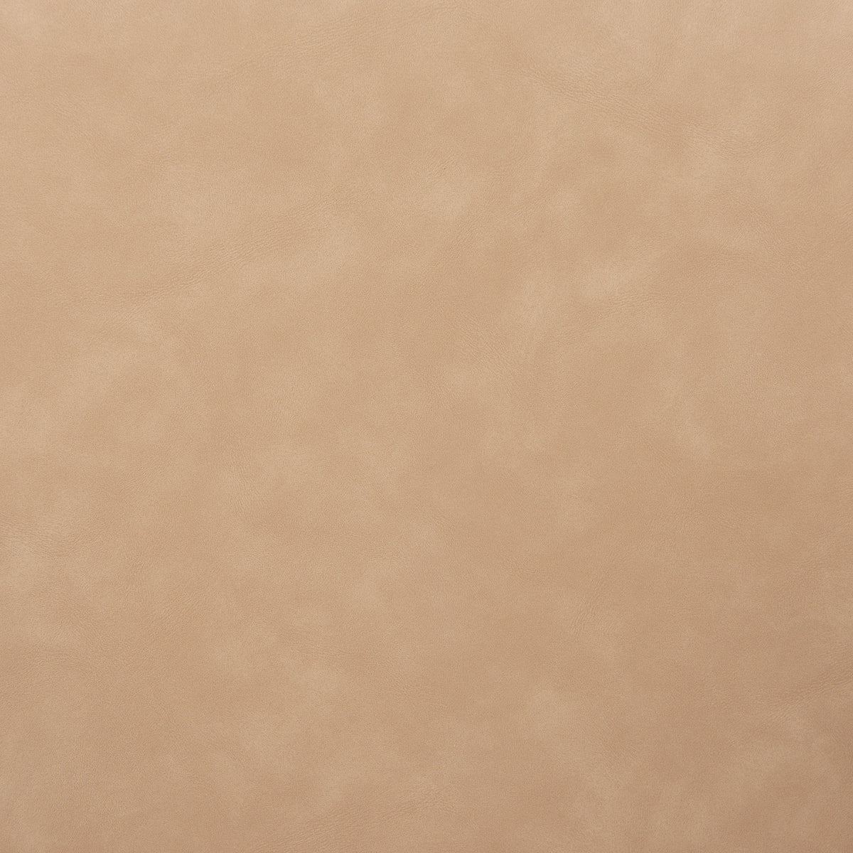 Silues Taupe & Brown Barstool (Set of 2)