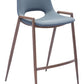 Desi Counter Stool (Set of 2) in Azure Gray & Walnut