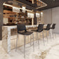 Ace Barstool (Set of 2) in Black & Silver