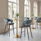 Poise Azure Gray & Walnut Barstool