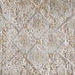 Ivory Gray And Gold Oriental Area Rug With Fringe Area Rug | 9' x 13'. Close-up of intricate pattern and texture.