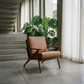 Mid-Century Modern Brown Genuine Leather Accent Chair – Solid Walnut Frame