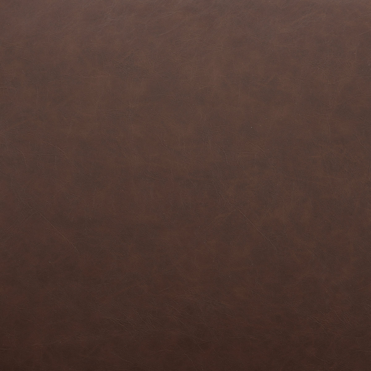 Pola Barstool in Brown