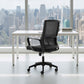 Jett Low Back Office Chair in Black