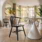 Stenger Dining Chair (Set of 2) in Black
