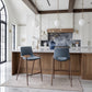 Desi Counter Stool (Set of 2) in Azure Gray & Walnut