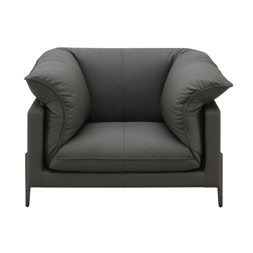 Tadi Black Top-Grain Leather Lounge Chair – Modern Luxury Accent Chair in supple black leather with bold design.