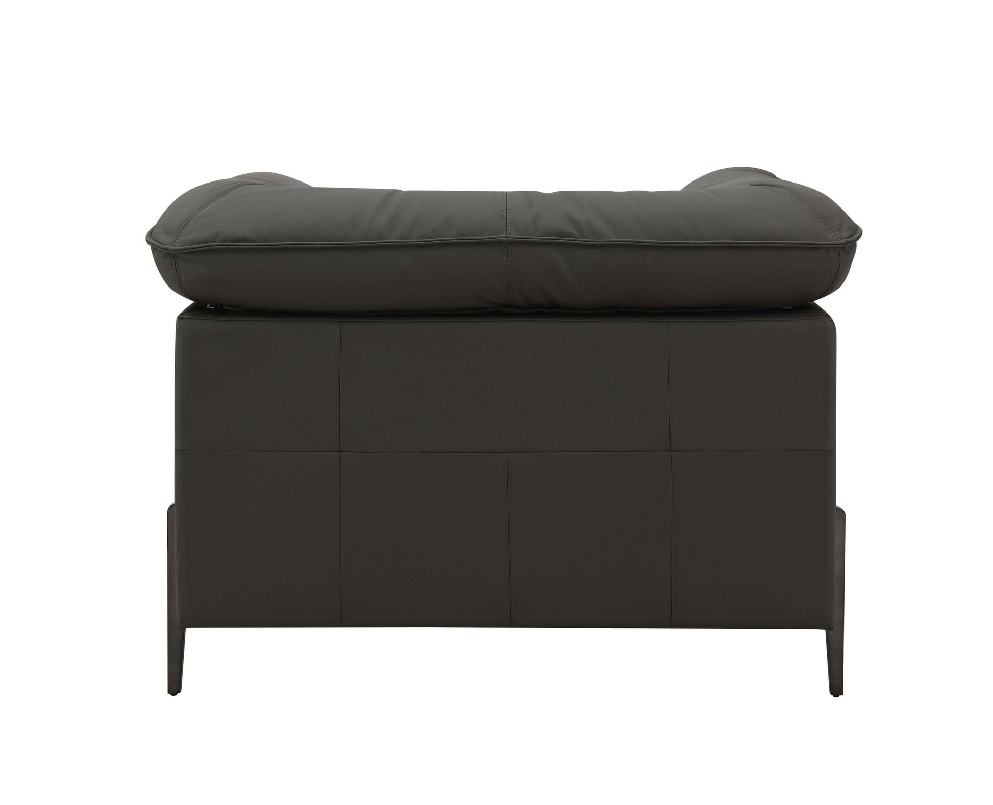 Tadi Black Top-Grain Leather Lounge Chair – Modern Luxury Accent Chair viewed from the back with a plush cushion on top.