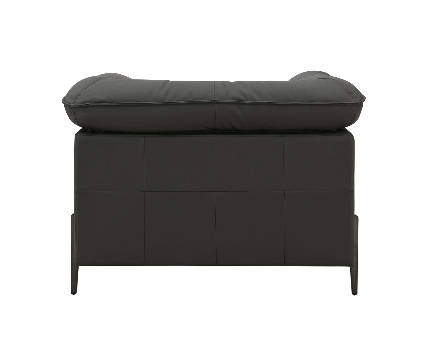Tadi Black Top-Grain Leather Lounge Chair – Modern Luxury Accent Chair viewed from the back with a plush cushion on top.